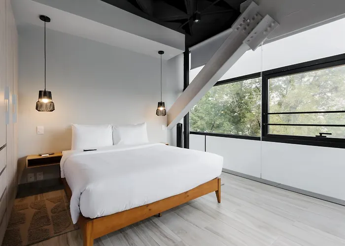 Aparthotel Darwin 74 By Wynwood House Mexico City