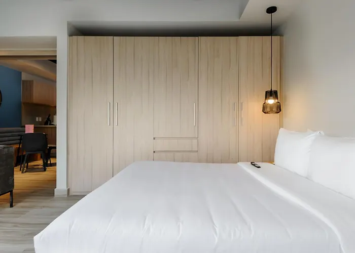 Aparthotel Darwin 74 By Wynwood House Mexico City
